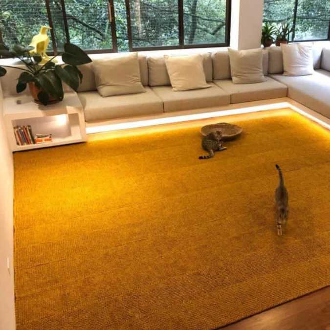 sisal area rug