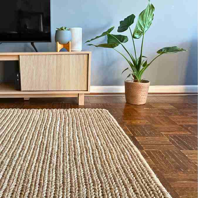 Braided Sisal Area Rug