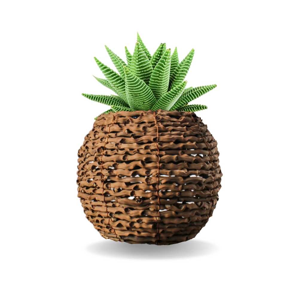 boho succulent planter Exotic Small Succulent Planter - Boho Style