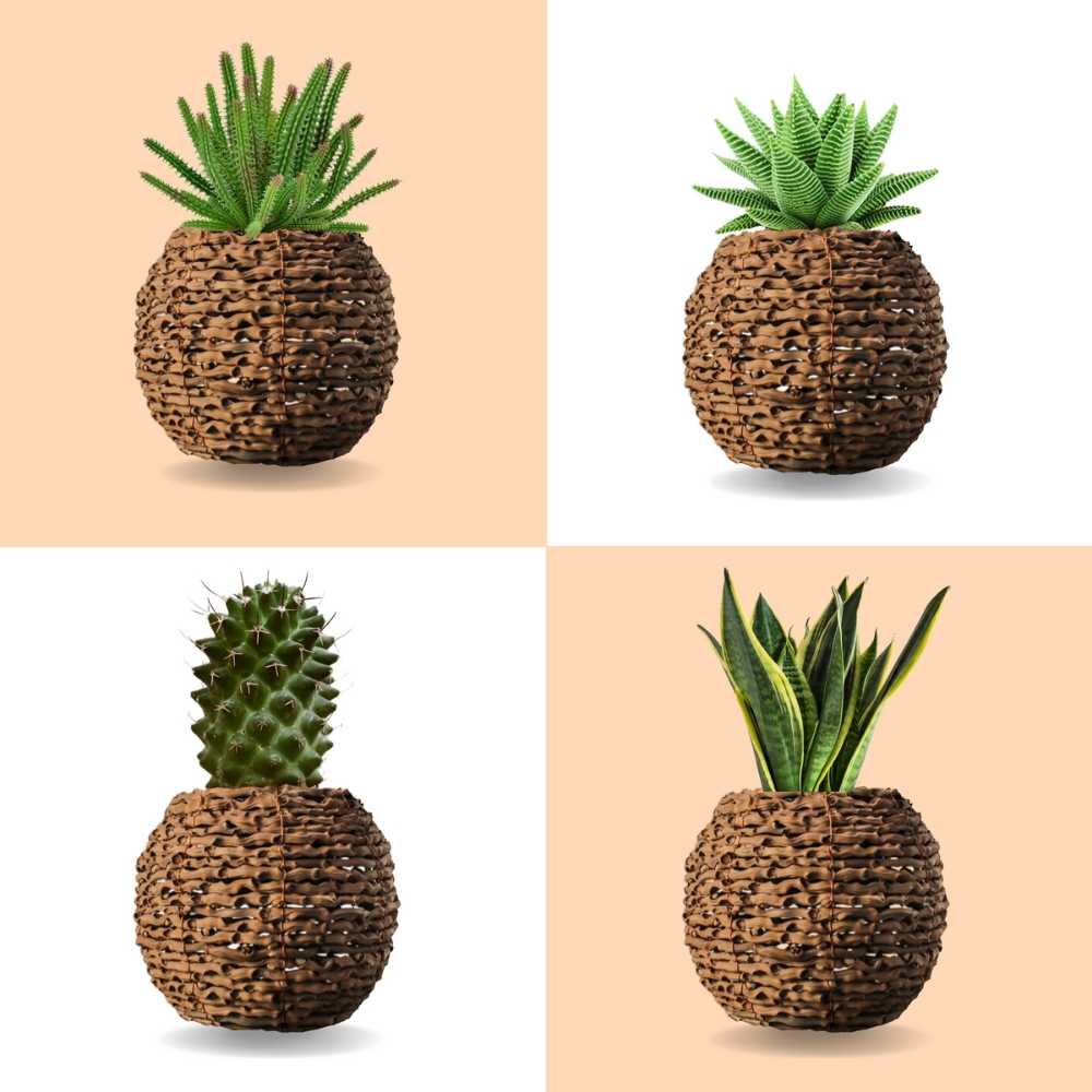 unique planters